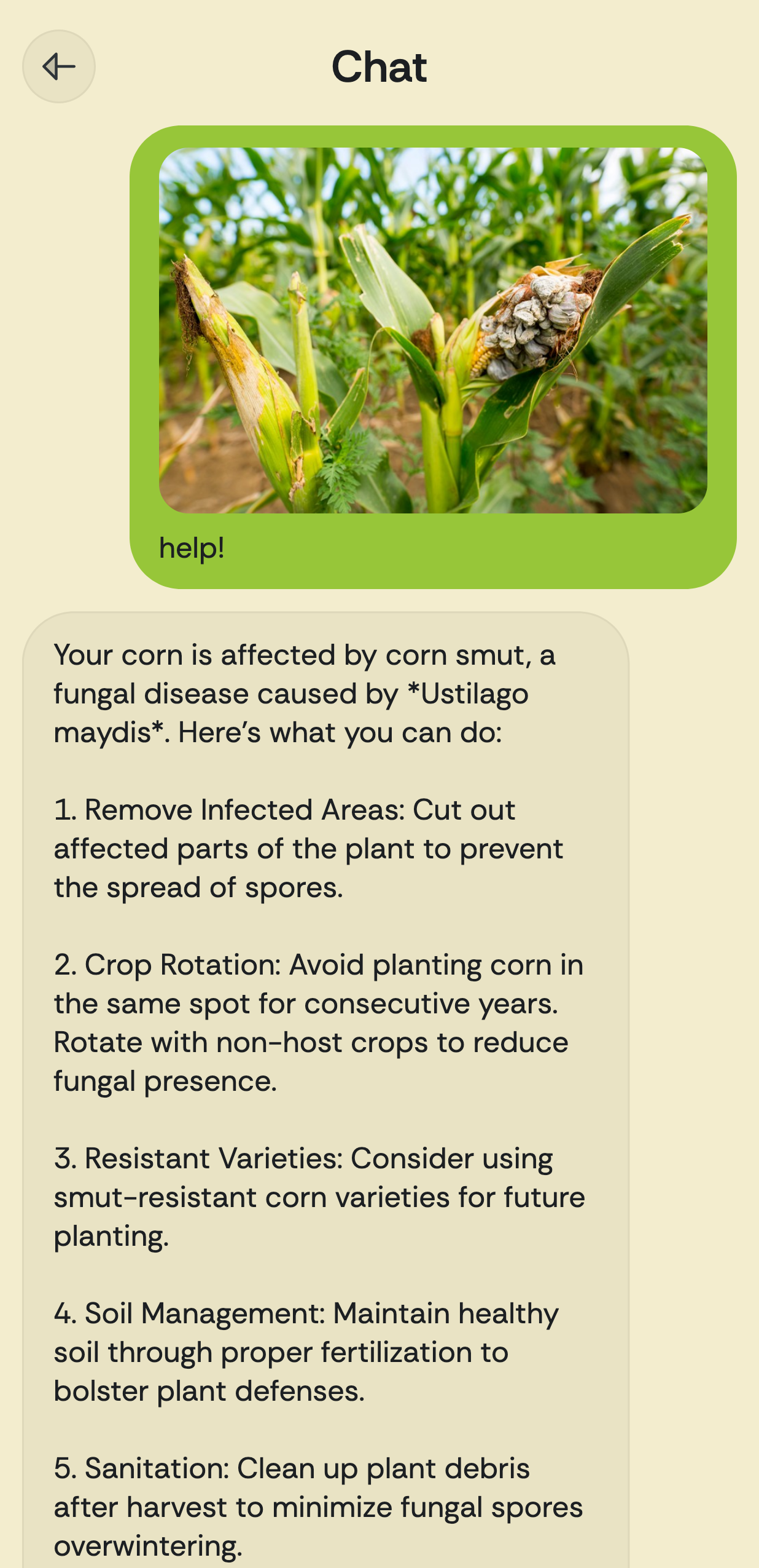 an ai farming assistant powered by real-time data